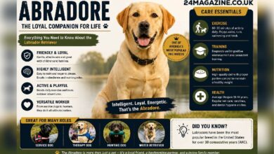 Abradore