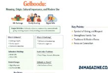Gelboodu
