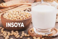 Insoya