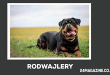 Rodwajlery