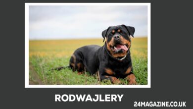 Rodwajlery